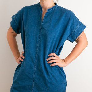 Everlane Denim Shift Dress